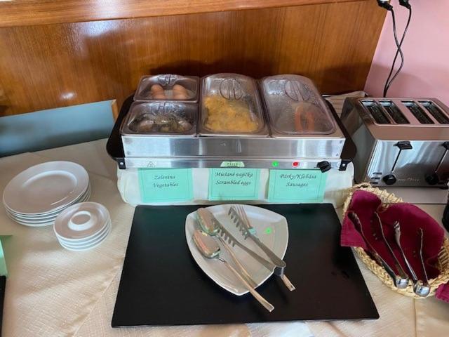 Hotel Pavla 피에슈타니 외부 사진